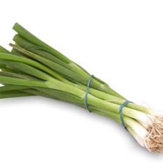 Spring Onion