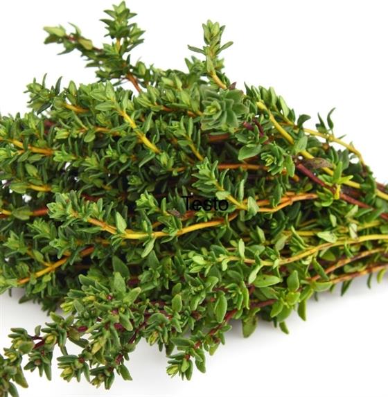 thyme replacement thyme replacement